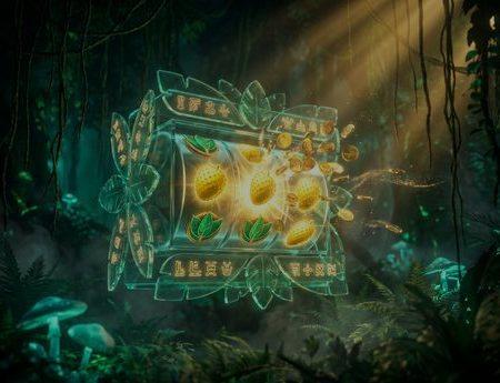 Amazon Slots